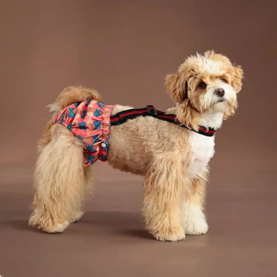 Stylish Dog Diapers with Suspenders for Large Dogs